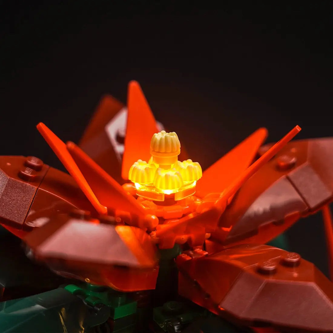 Light Kit for LEGO Icons Poinsettia 10370 | BrightMyBricks – Illuminate the Holiday Spirit! Bright My Bricks