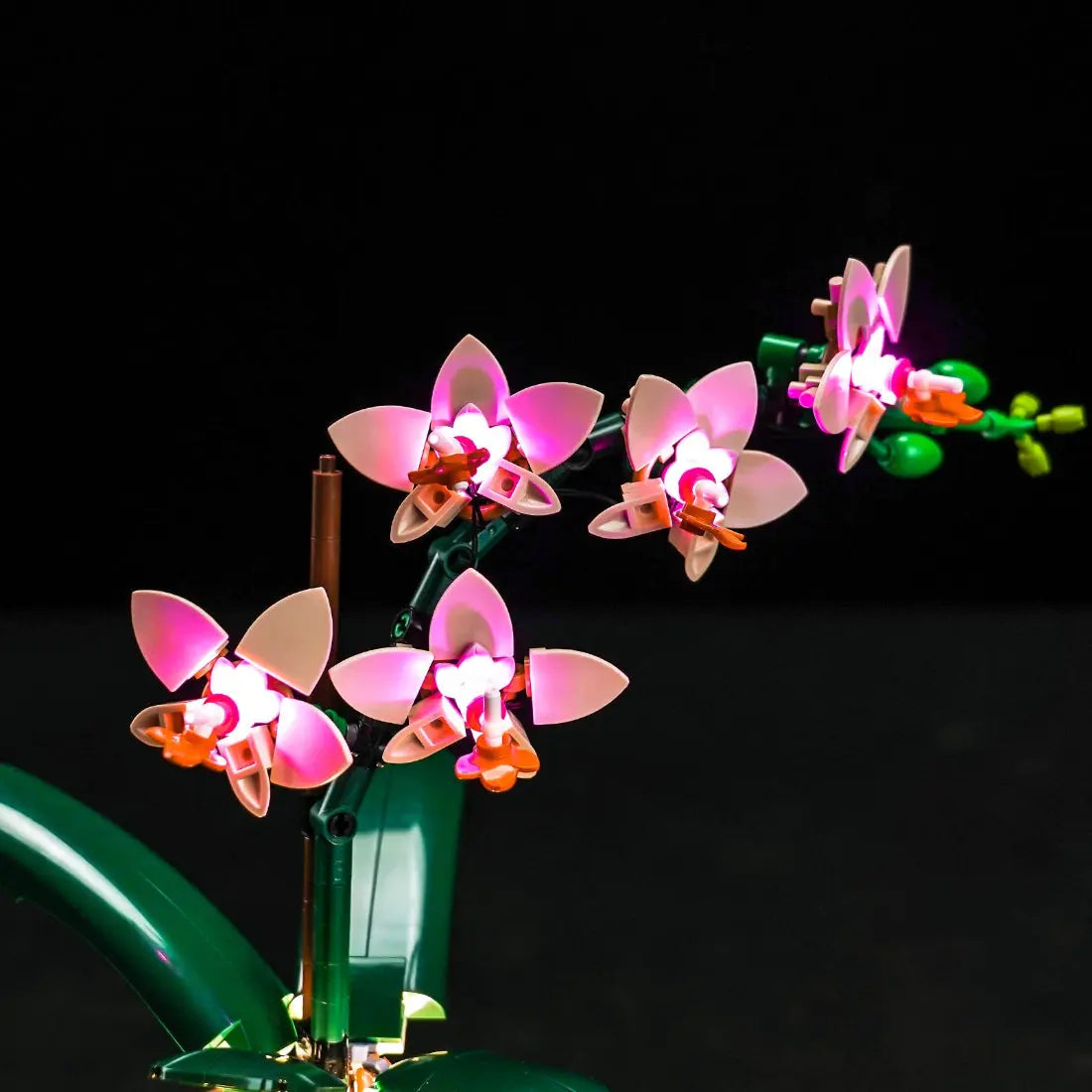 Light Kit for LEGO The Botanical Collection Mini Orchid 10343 | BrightMyBricks – Illuminate the Elegance! Bright My Bricks