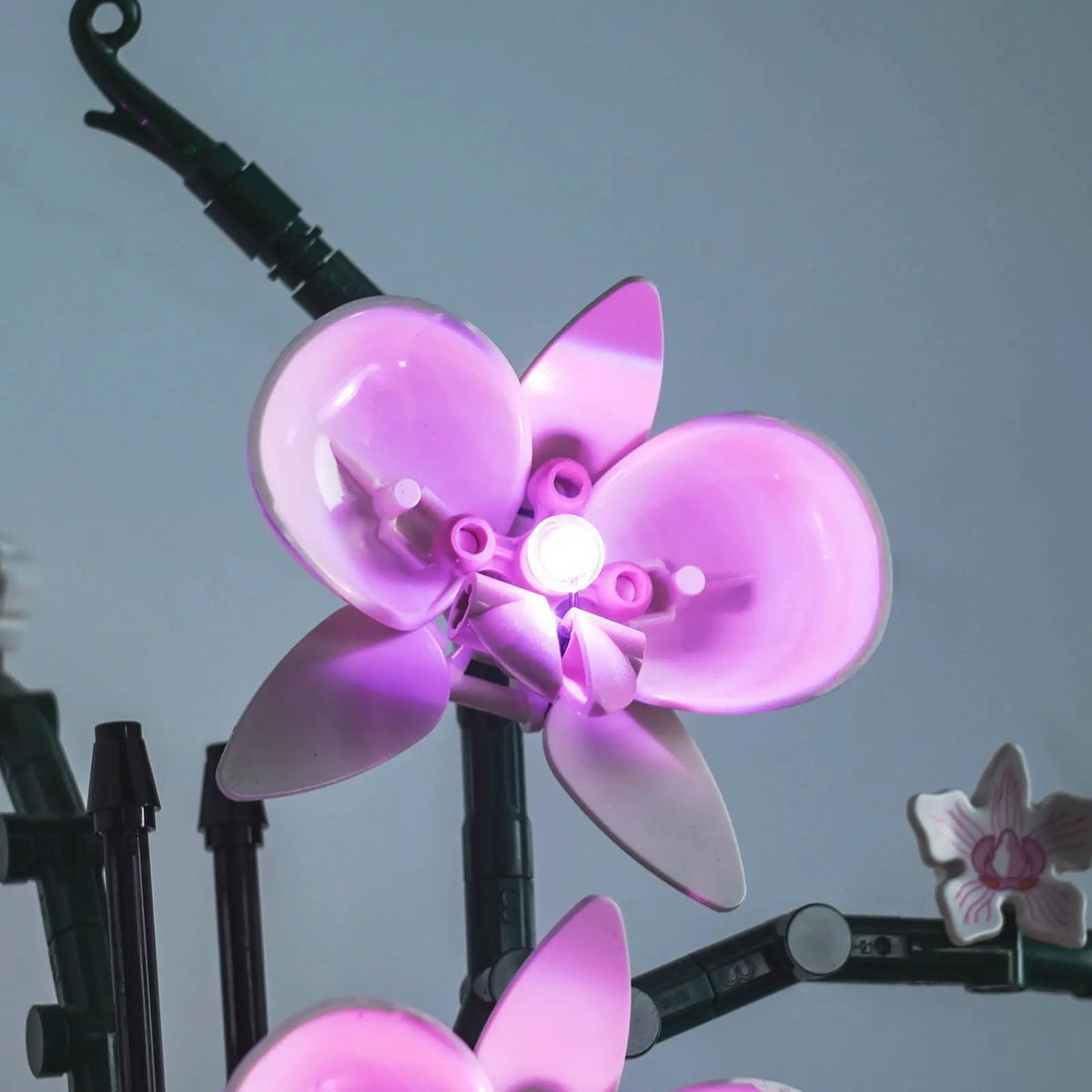 A Natural Work of Art — Light Kit for LEGO® The Botanical Collection Orchid #10311