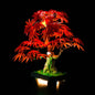 Light Kit for LEGO® Japanese Red Maple Bonsai Tree 10348 - Bright My Bricks
