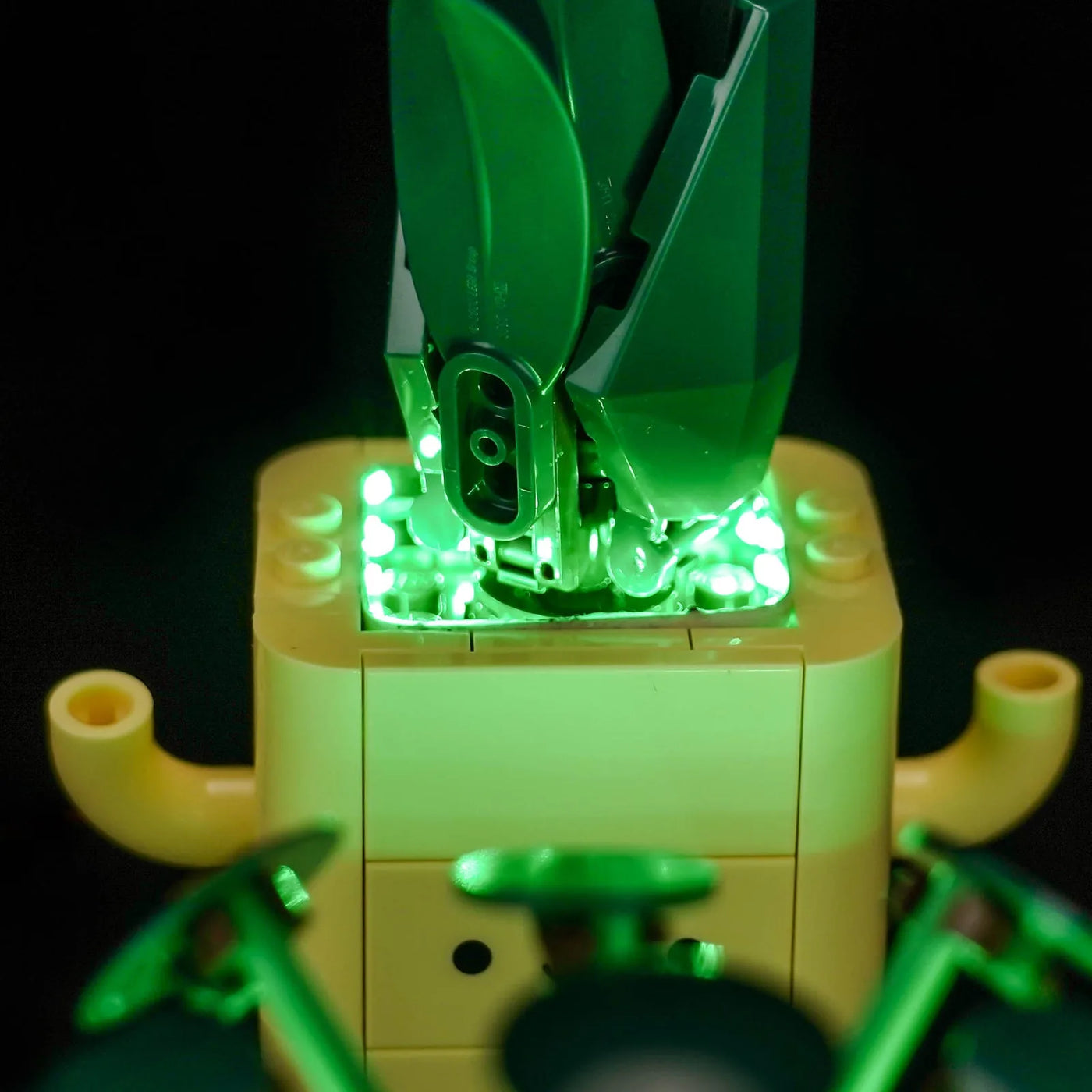 LEGO® Botanicals Happy Plants #10349 installed and glowing, with the LED lights