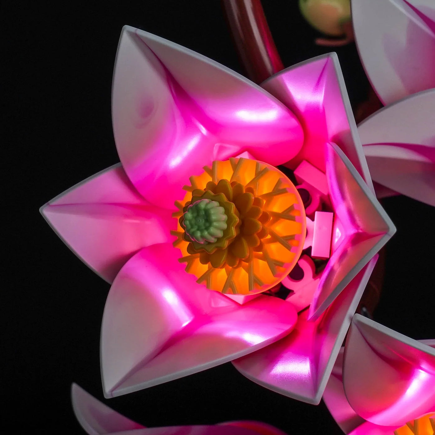 front view fully lit: Bright My Bricks DIY LED light kit for LEGO® Botanicals Magnolia Branches #11510