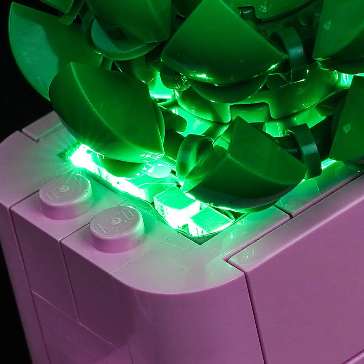 LEGO® Botanicals Rocking Plants #11506 — brightened interior detail (custom LED lighting)