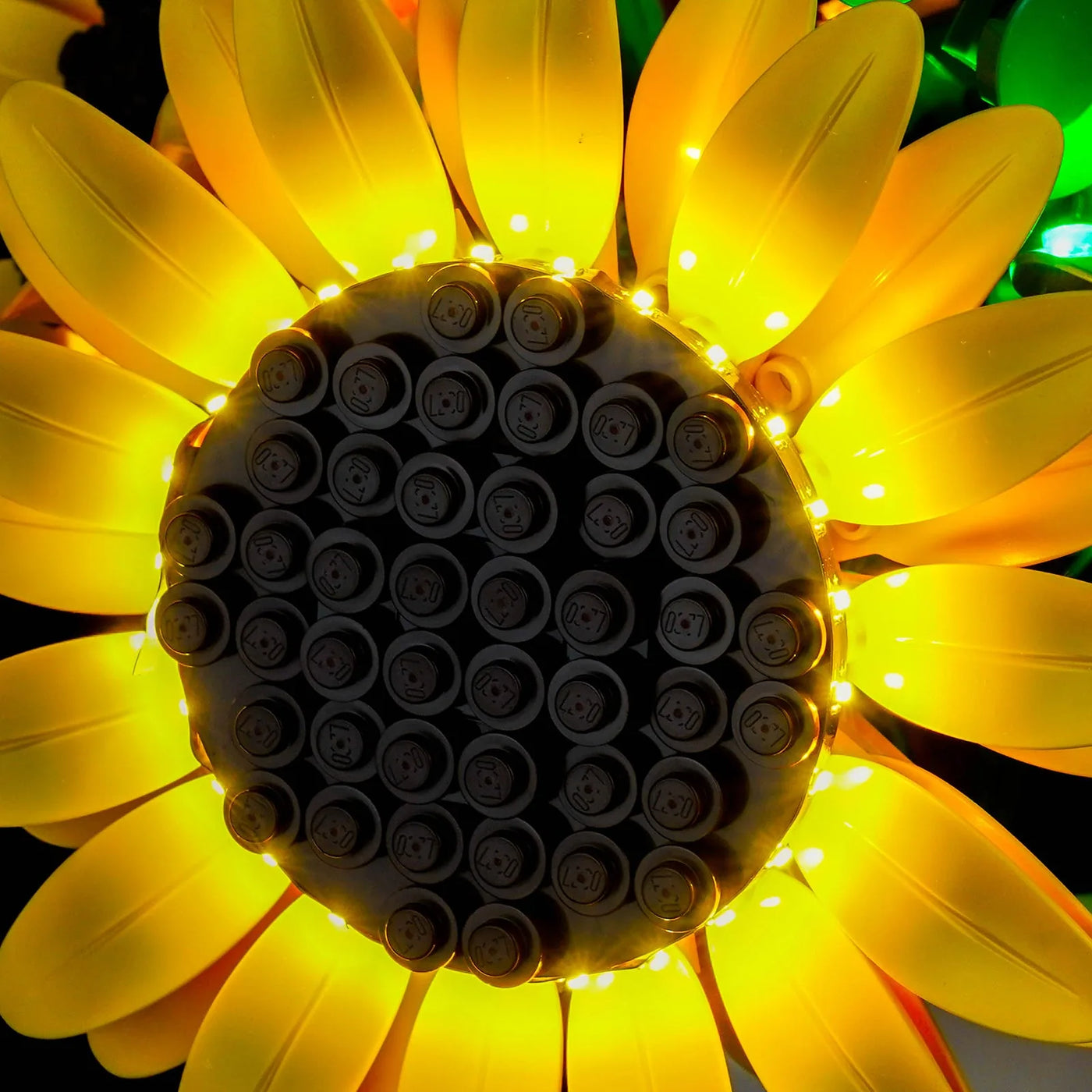 lighting effect on the build: Bright My Bricks LED lights for LEGO® Botanicals Sunflower Bouquet #11502