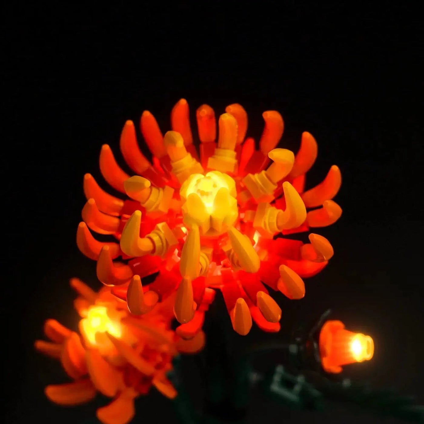 illuminated at night: Bright My Bricks DIY LED light kit for LEGO® Icons Chrysanthemum #10368