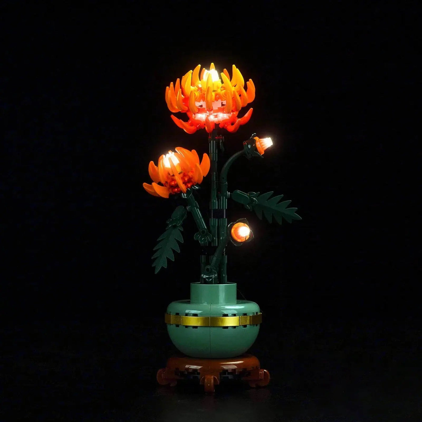 showcase lighting view: Bright My Bricks RGB LED light kit for LEGO® Icons Chrysanthemum #10368