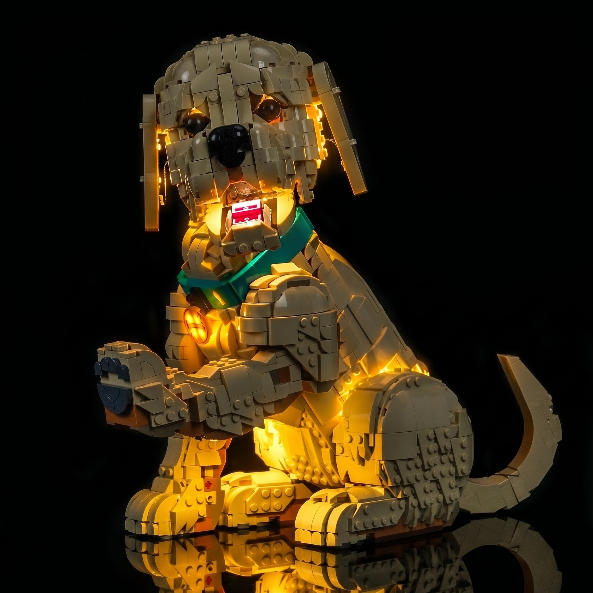 Light_Kit_for_LEGO_Icons_Golden_Retriever_Puppy_11384_Bright_My_Bricks_12