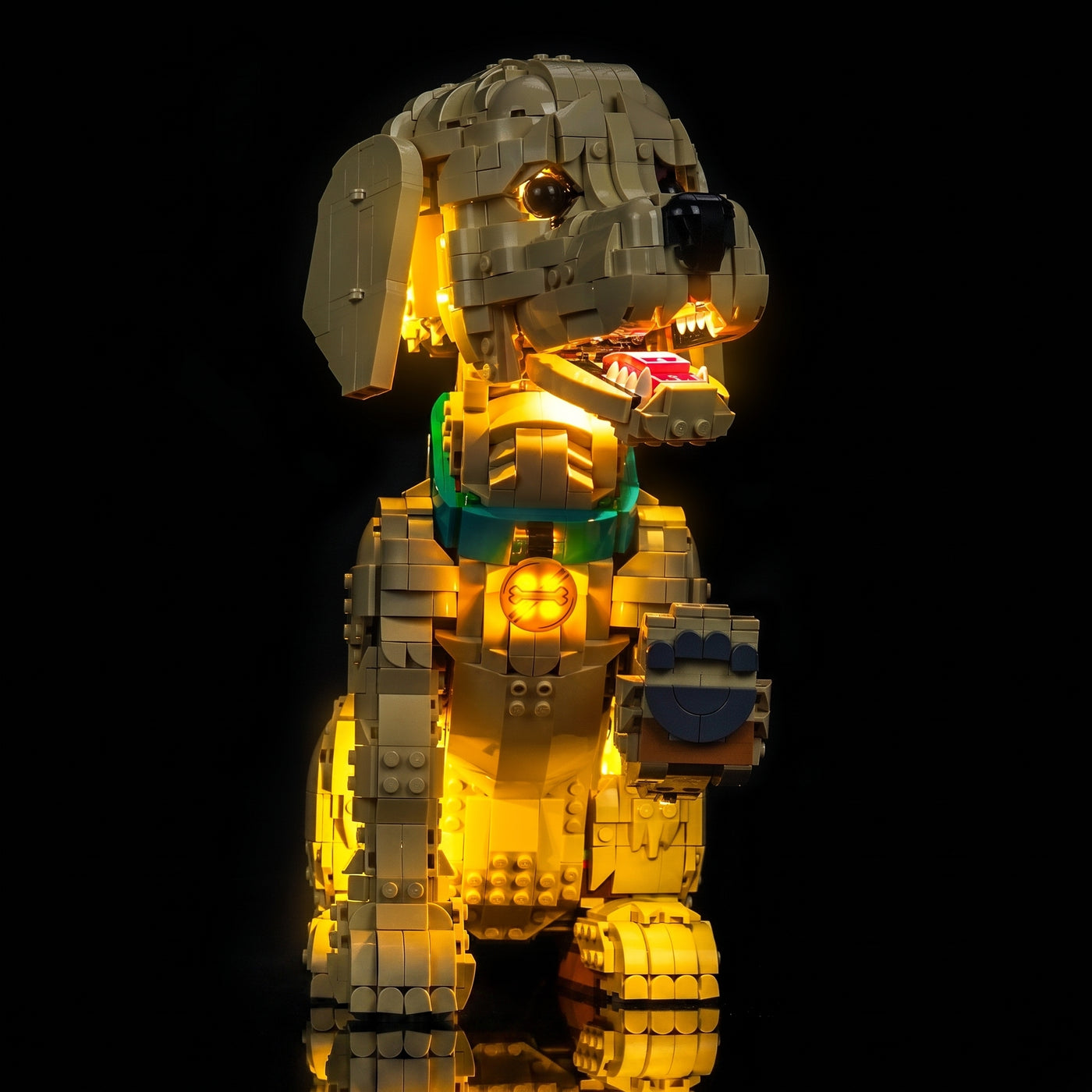 Light_Kit_for_LEGO_Icons_Golden_Retriever_Puppy_11384_Bright_My_Bricks_13