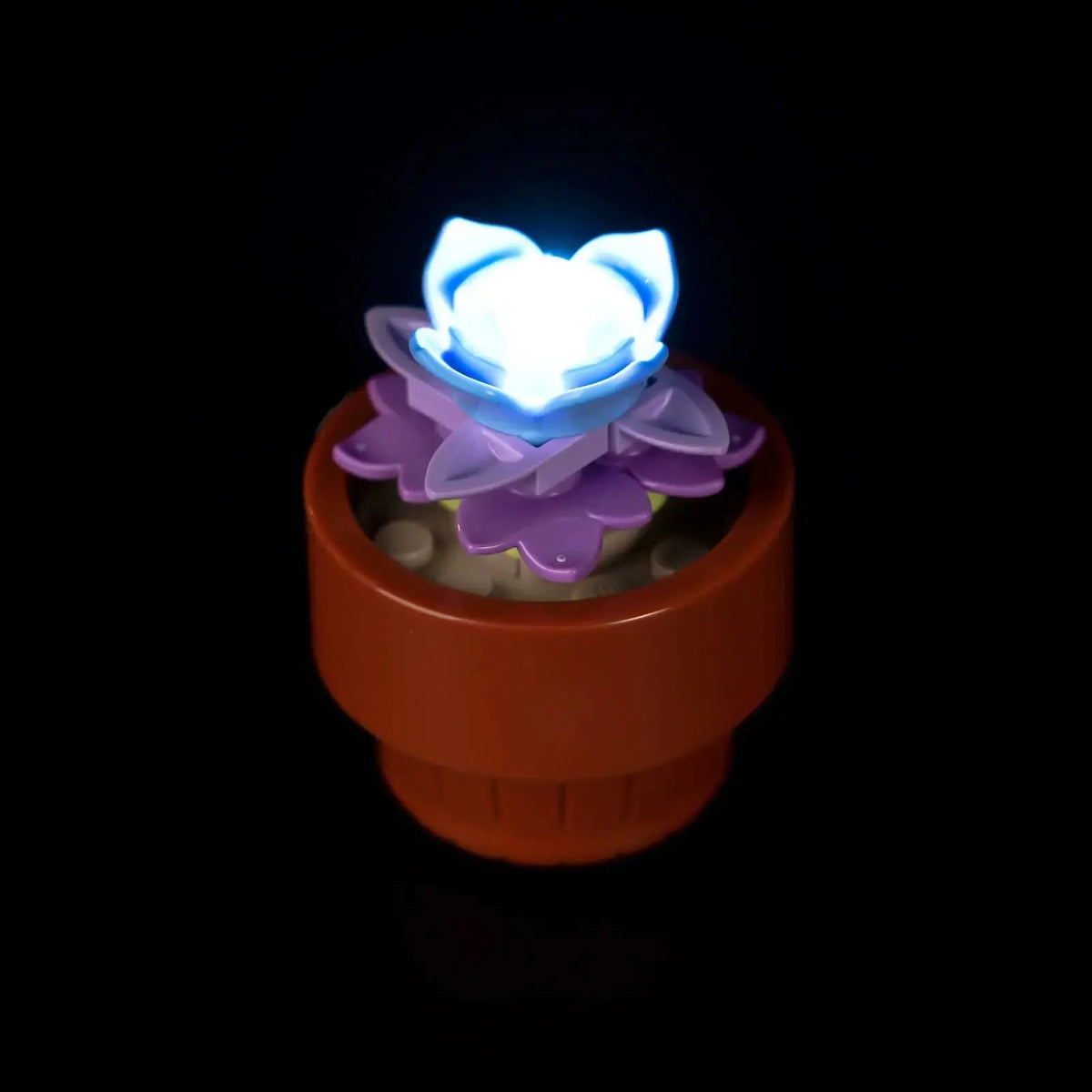showcase lighting view: Bright My Bricks light kit for LEGO® Icons Tiny Plants #10329