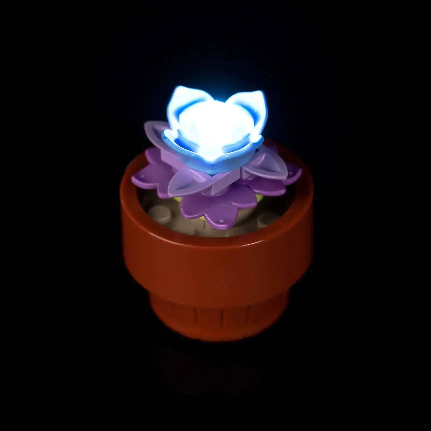 showcase lighting view: Bright My Bricks light kit for LEGO® Icons Tiny Plants #10329