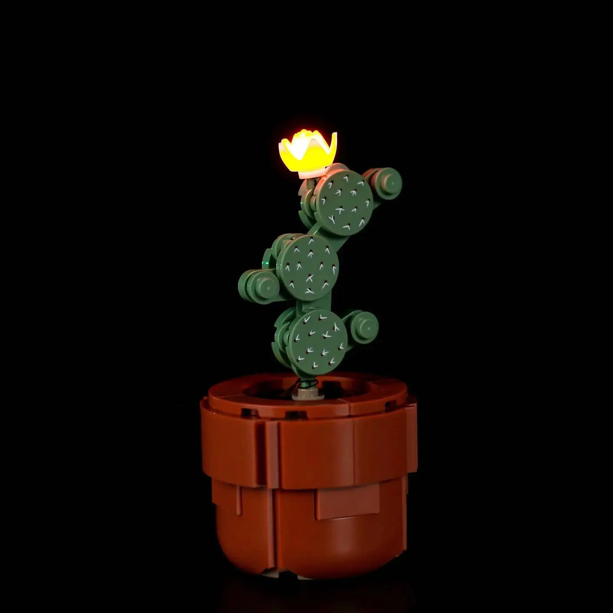 LEGO® Icons Tiny Plants #10329 — side angle with lights on (DIY LED light kit)