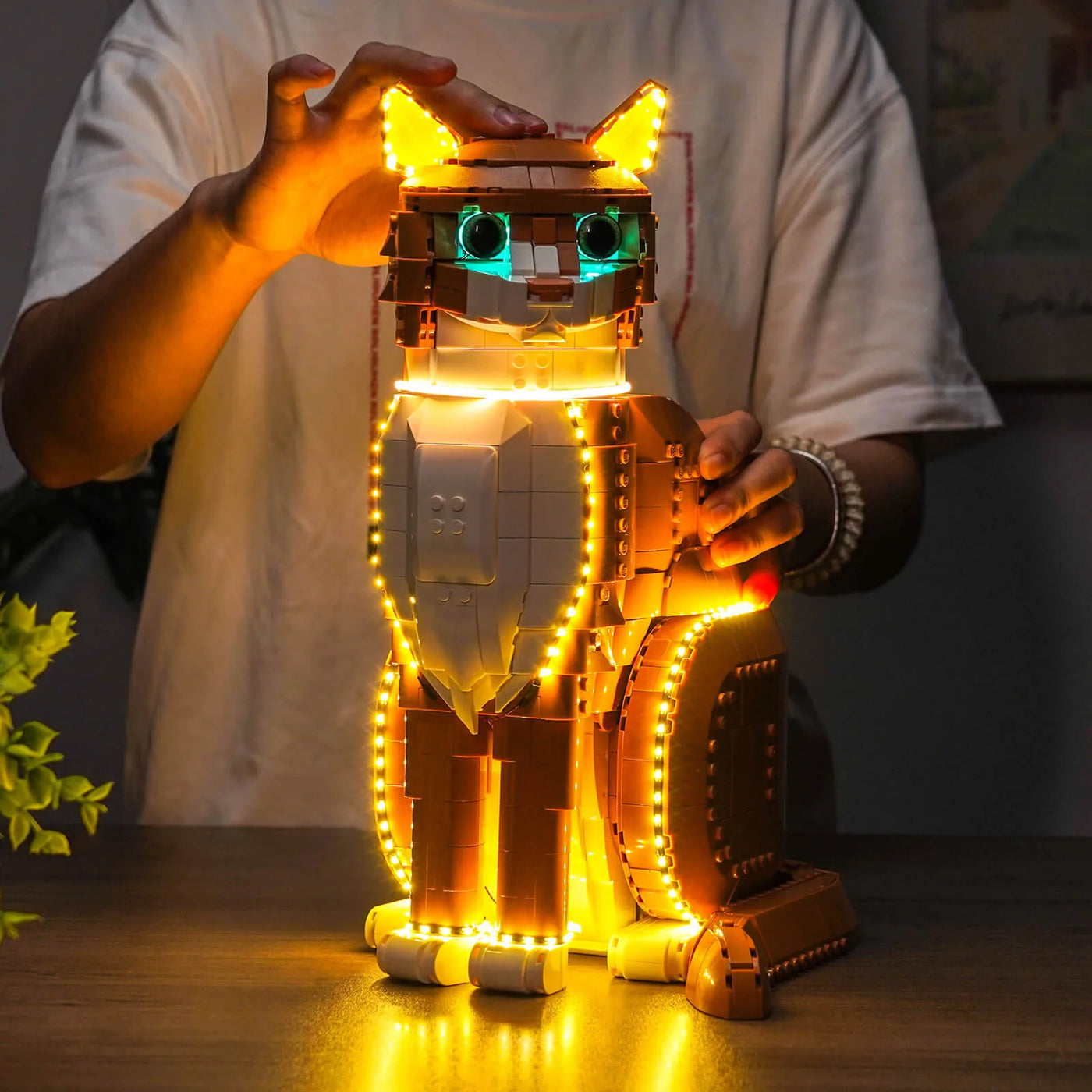 light kit for LEGO® Ideas Orange Cat #21376, fully illuminated on display
