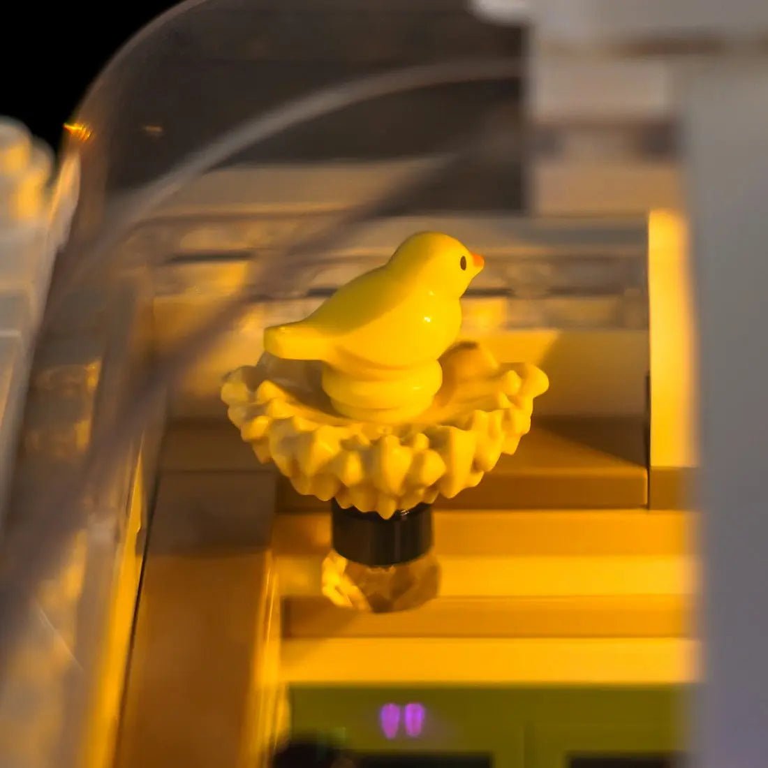 LEGO® Ideas The Botanical Garden #21353 — night-mode display glow (custom LED lighting)