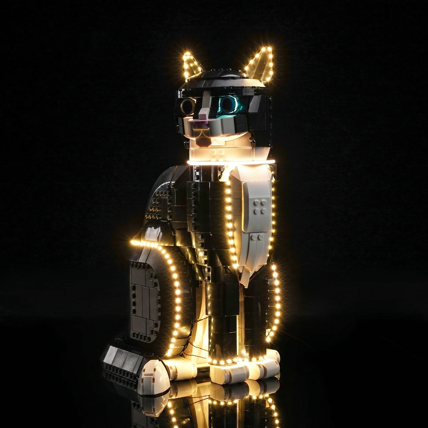 LED light kit for LEGO® Ideas Tuxedo Cat #21349 | Bright My Bricks