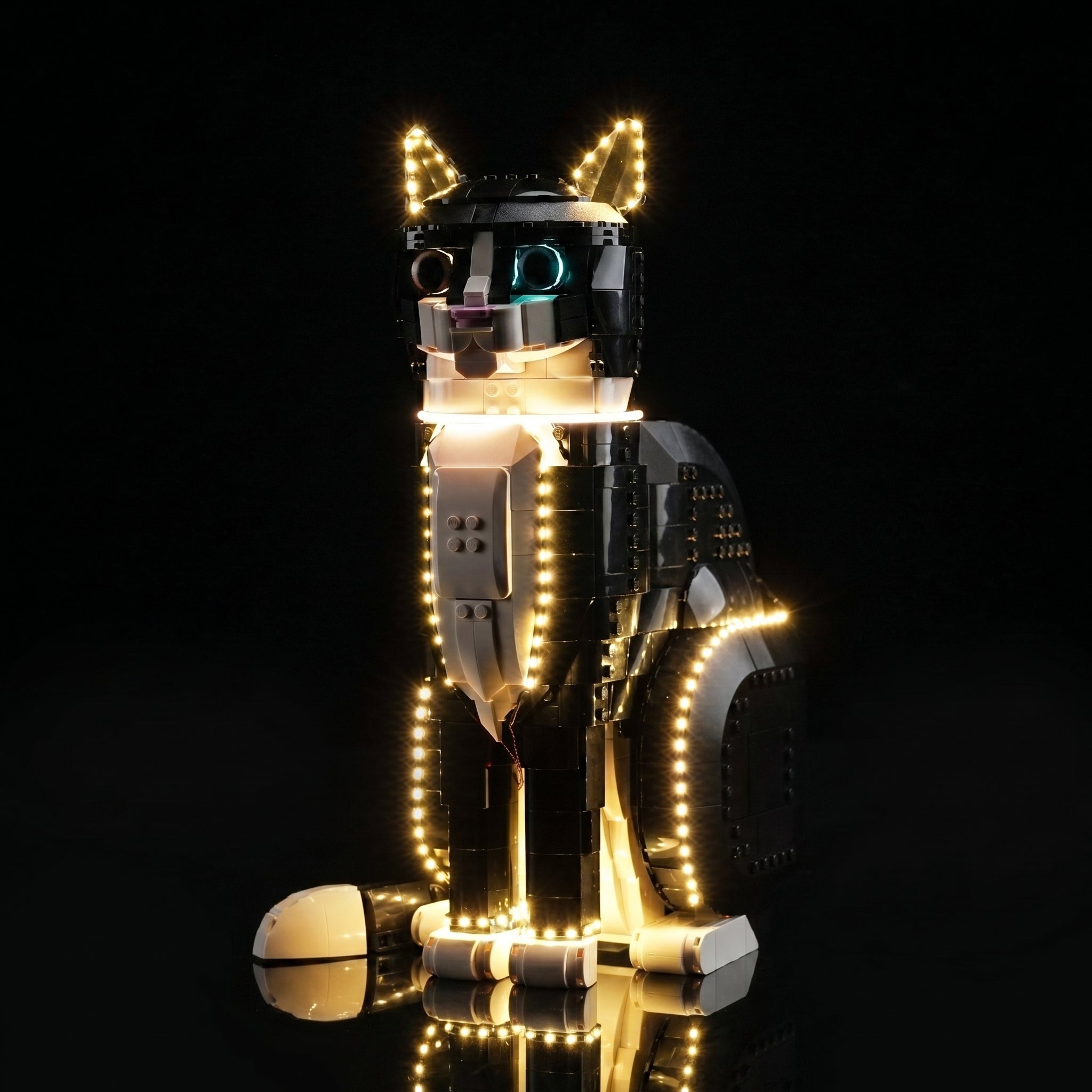 LEGO® Ideas Tuxedo Cat #21349 — showcase lighting view (USB-powered LED light kit)