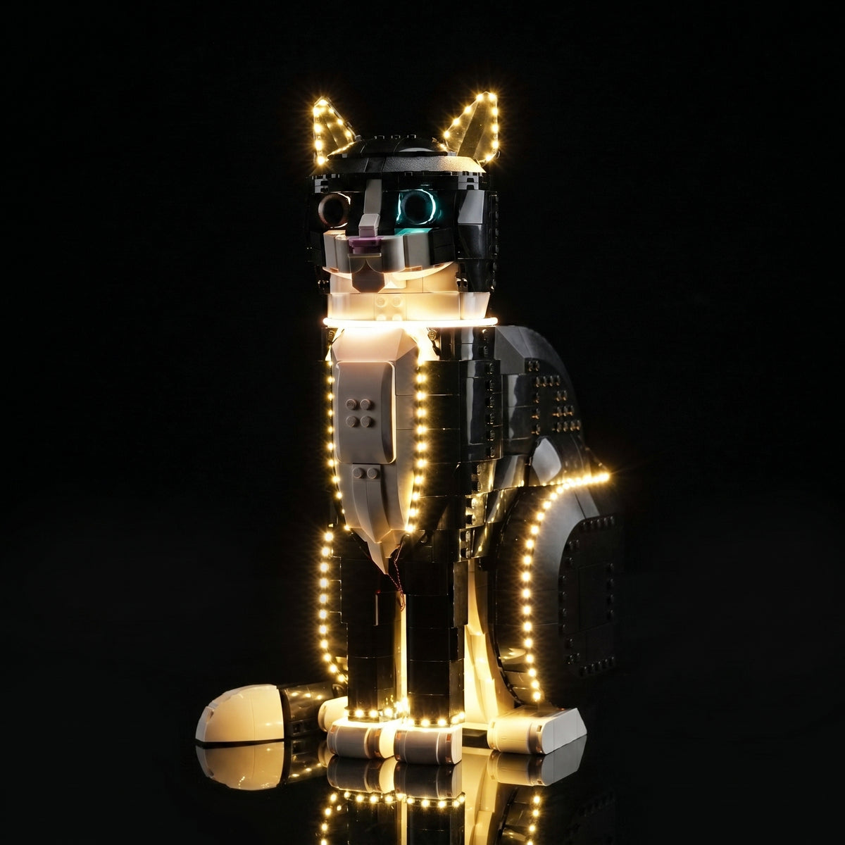 LEGO® Ideas Tuxedo Cat #21349 — showcase lighting view (USB-powered LED light kit)