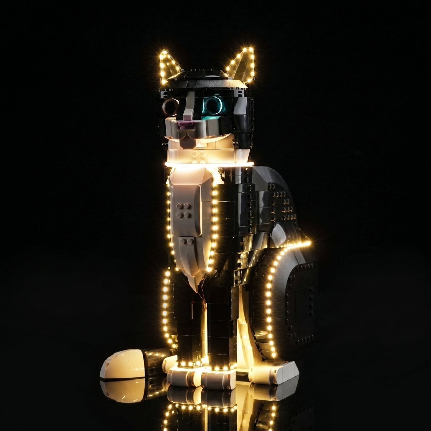 LEGO® Ideas Tuxedo Cat #21349 — showcase lighting view (USB-powered LED light kit)