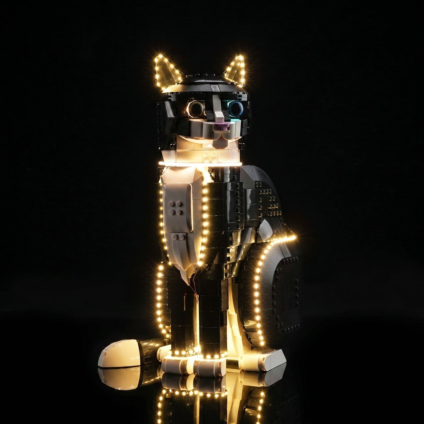 LEGO® Ideas Tuxedo Cat #21349 installed and glowing, with the USB-powered LED light kit