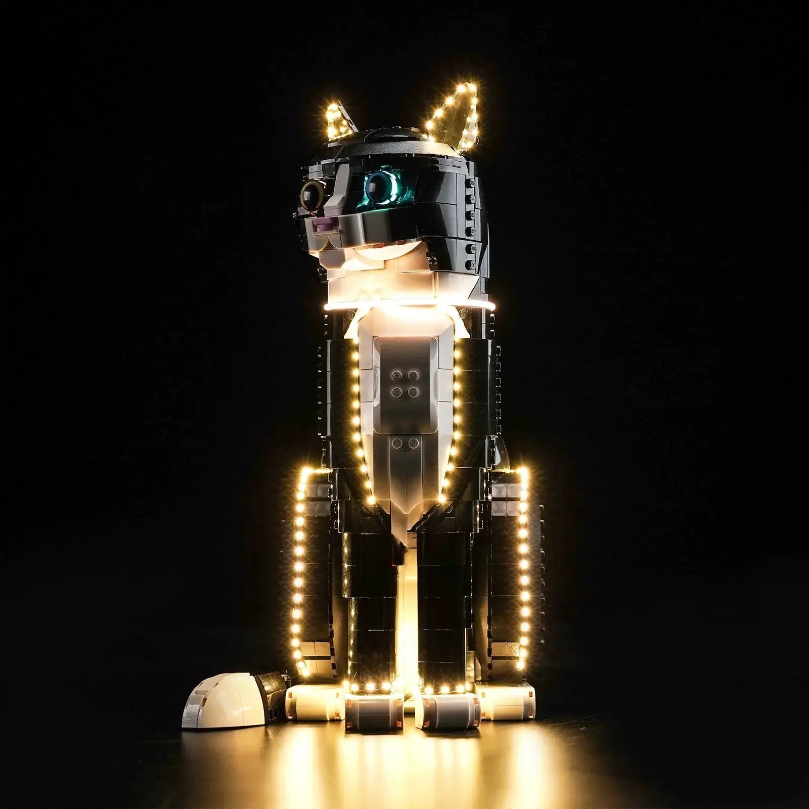 LEGO Ideas Tuxedo Cat #21349 illuminated at night