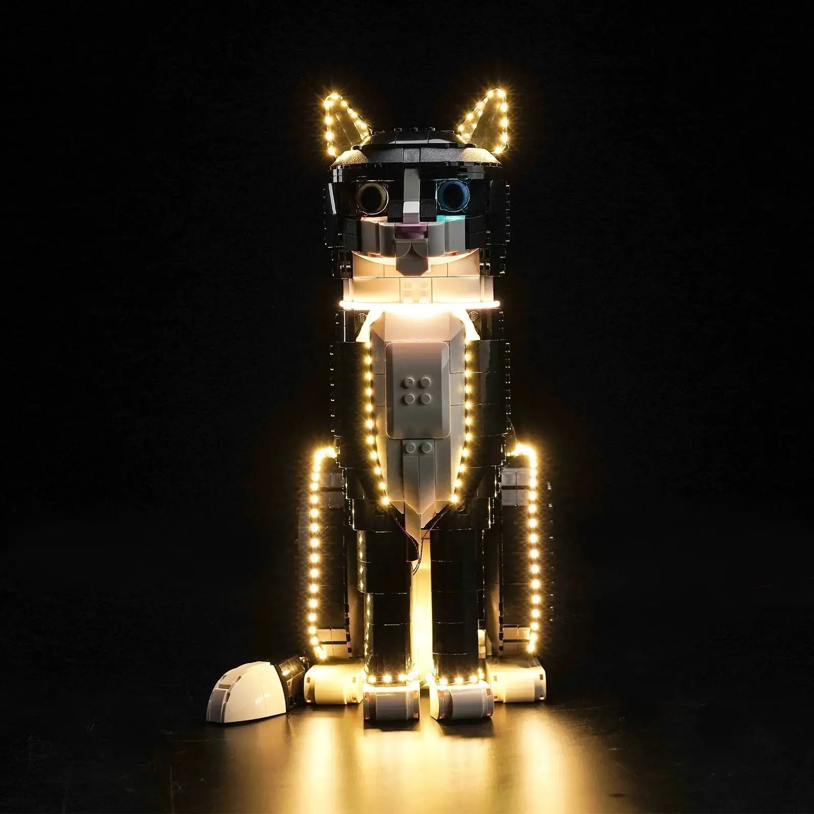 LEGO Ideas Tuxedo Cat #21349 LED lighting detail