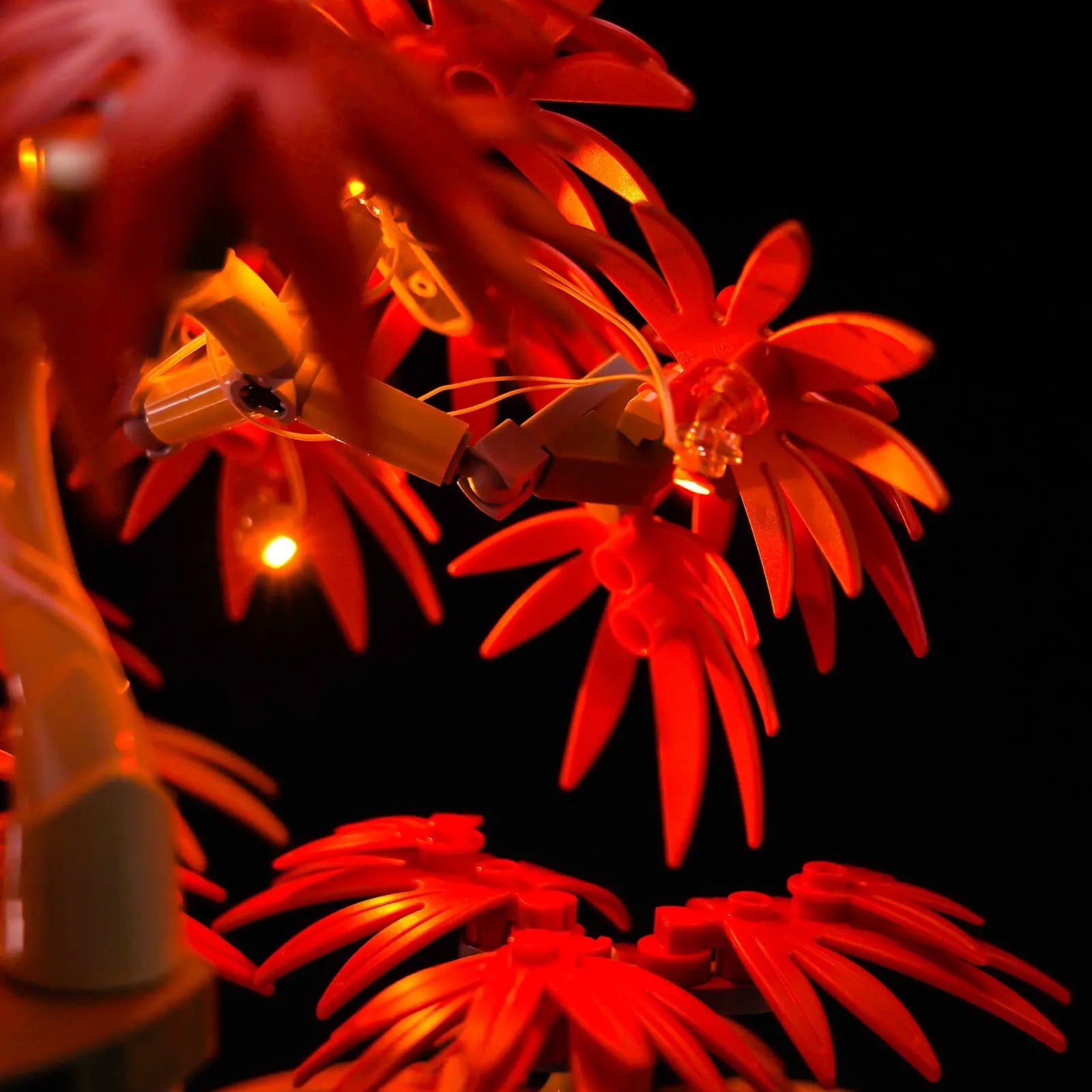 LEGO Japanese Red Maple Bonsai Tree #10348 illuminated at night