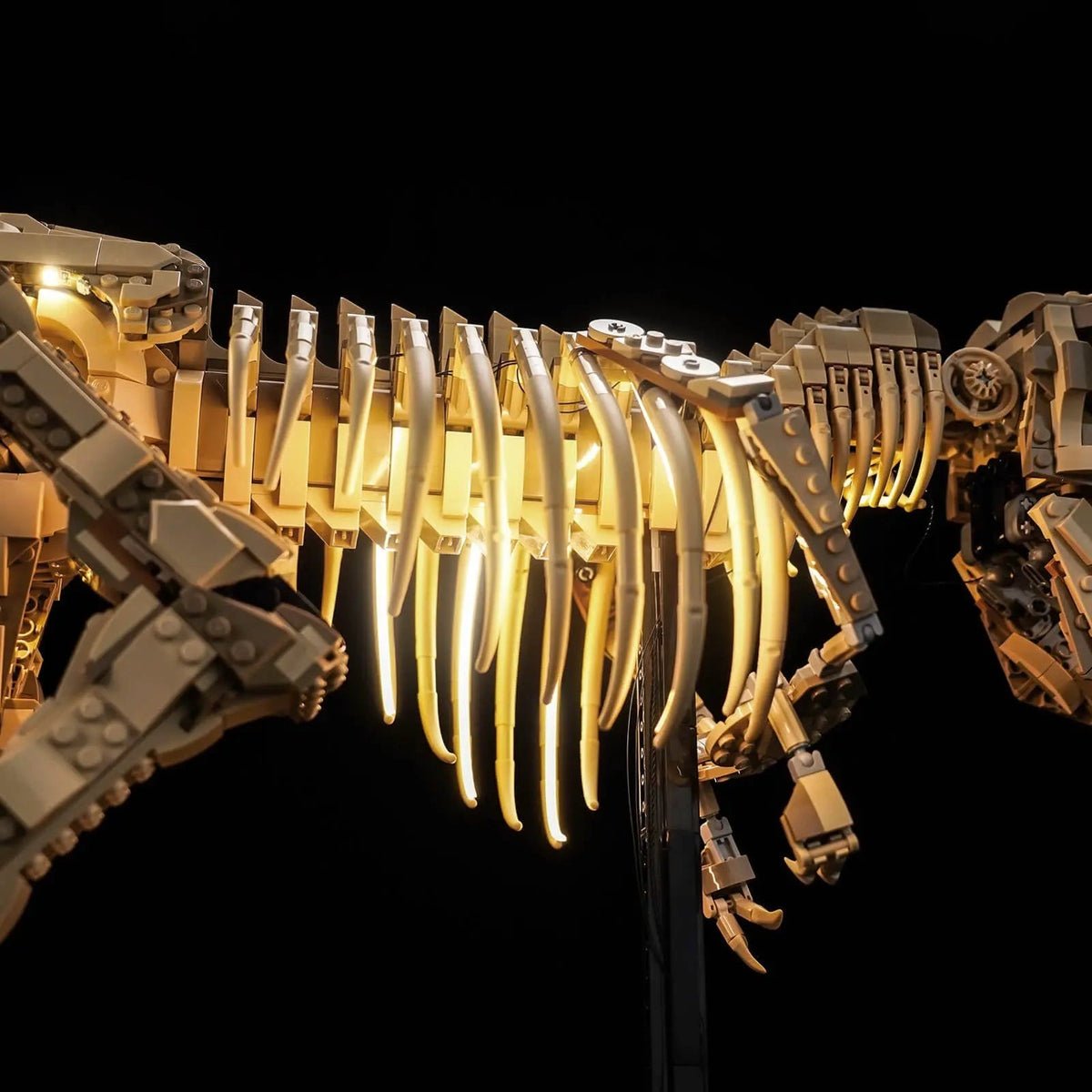 display light kit for LEGO® Jurassic World Dinosaur Fossils: Tyrannosaurus rex #76968, fully illuminated on display