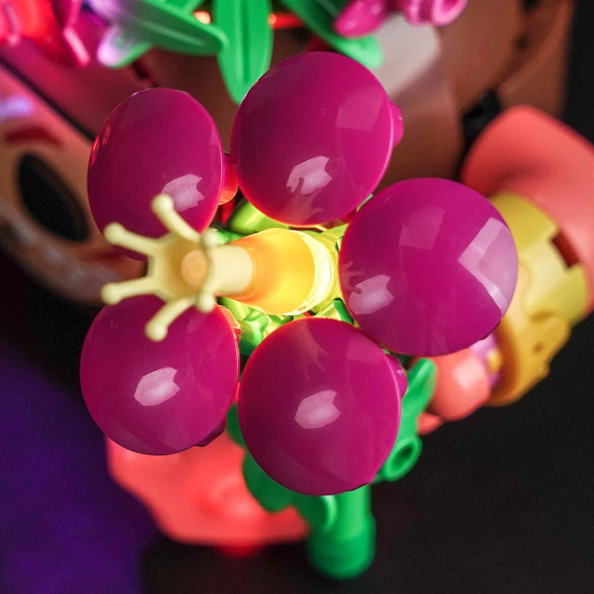 custom LED lighting for LEGO® Kakamora #43293, front view fully lit