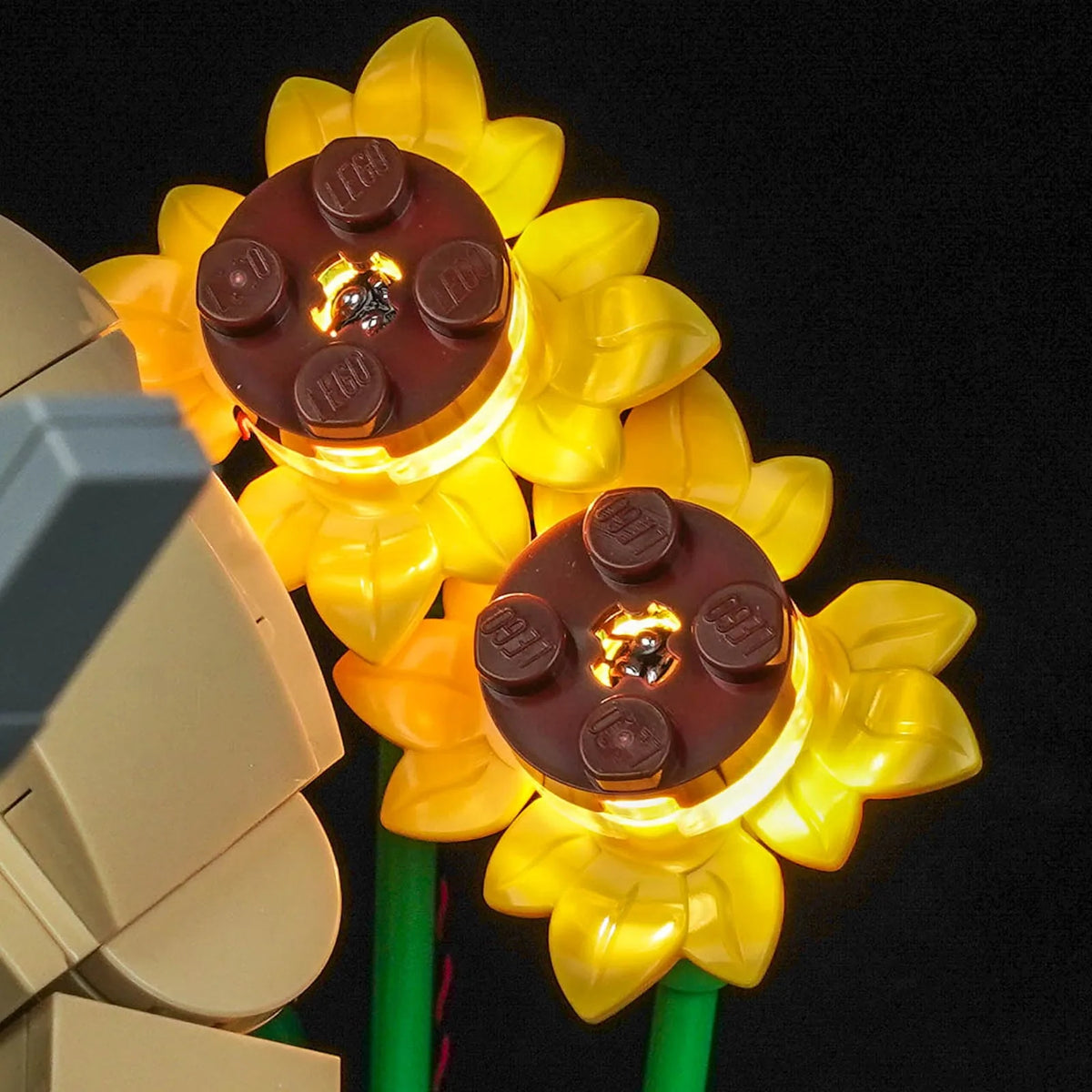 premium LED light kit for LEGO® Shrek, Donkey & Puss in Boots #72423, LED strips and bricks detail