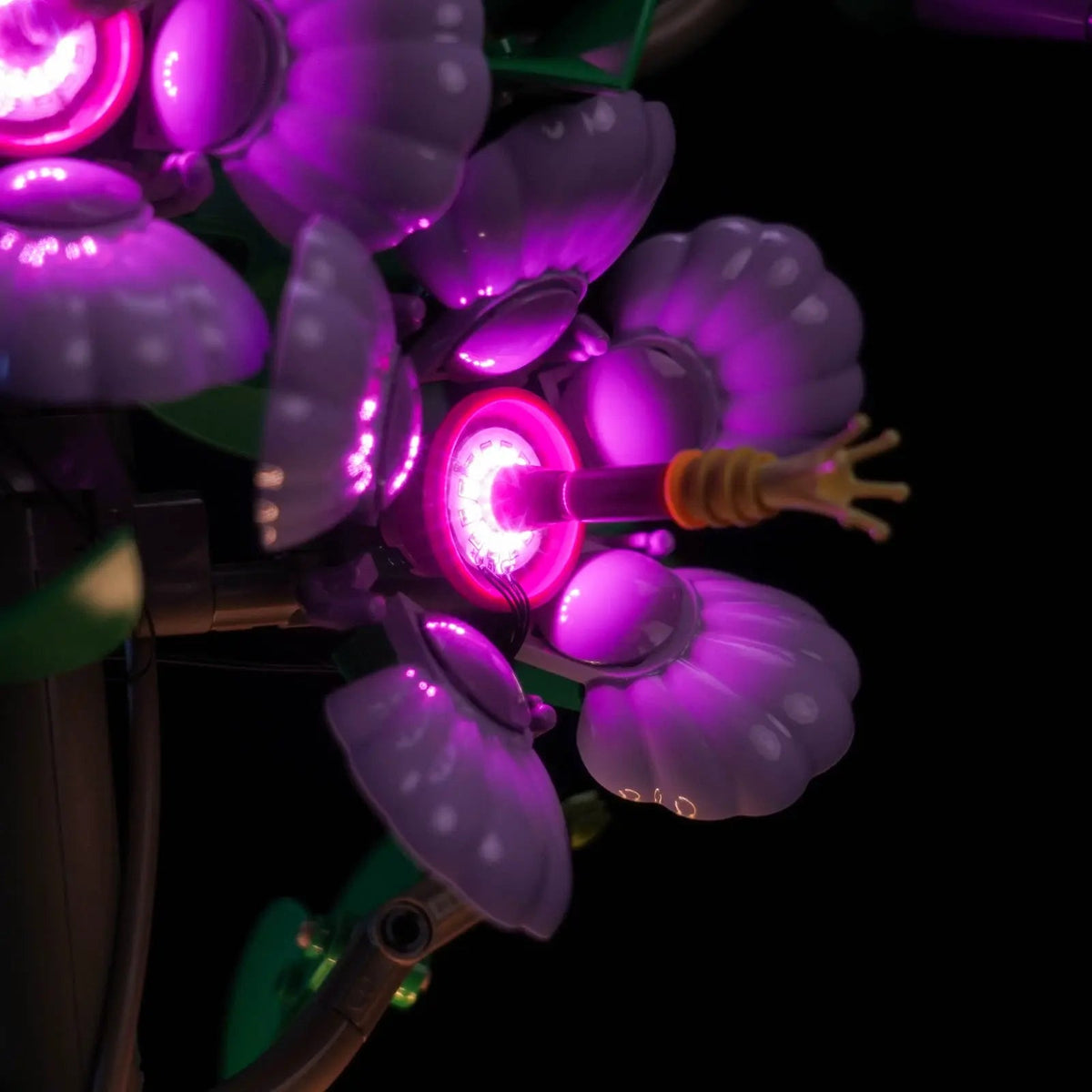 DIY LED light kit for LEGO® The Botanical Collection Hibiscus #10372, illuminated at night