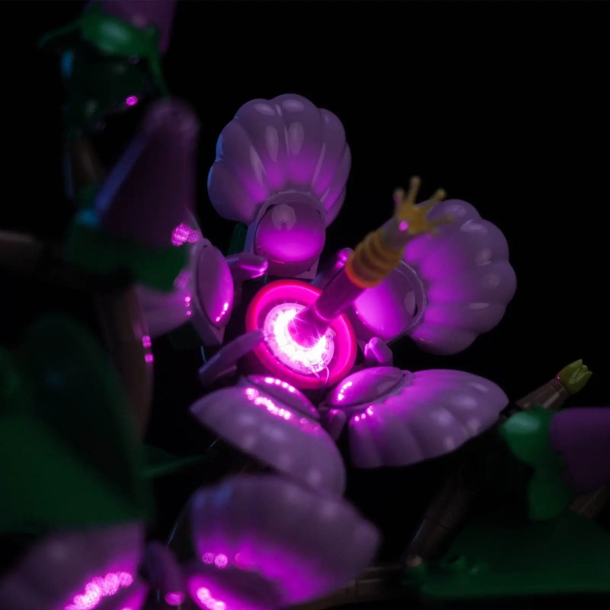 night-mode display glow: Bright My Bricks display light kit for LEGO® The Botanical Collection Hibiscus #10372