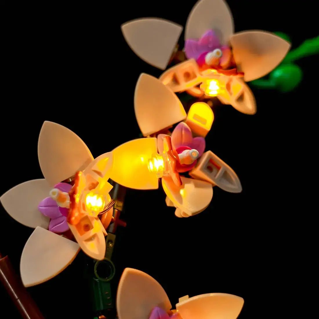 premium LED light kit for LEGO® The Botanical Collection Mini Orchid #10343, front view fully lit