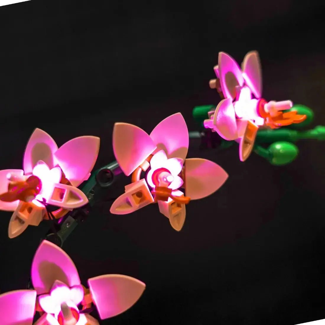 LEGO® The Botanical Collection Mini Orchid #10343 — side angle with lights on (LED lighting kit)