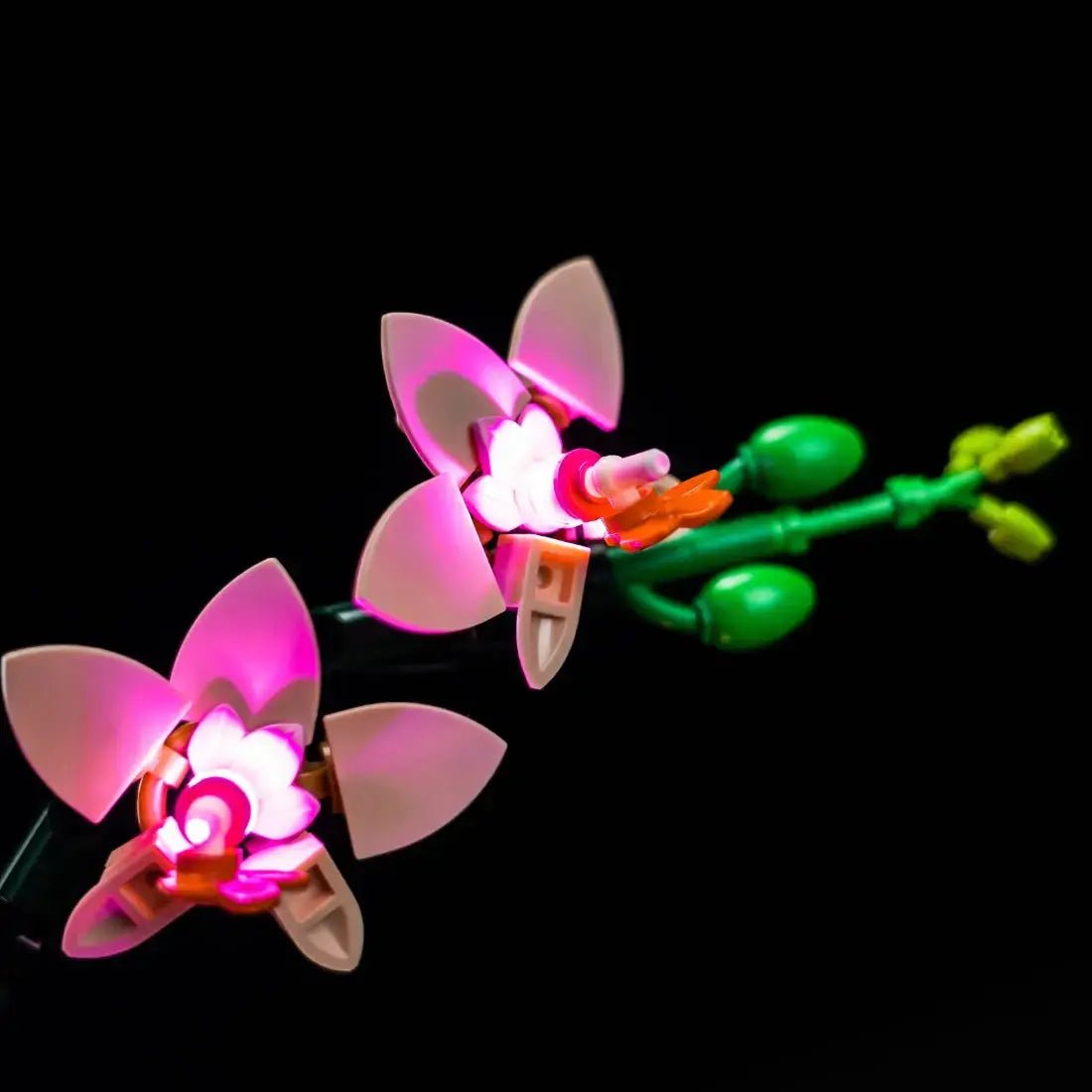 custom LED lighting for LEGO® The Botanical Collection Mini Orchid #10343, before-and-after lighting
