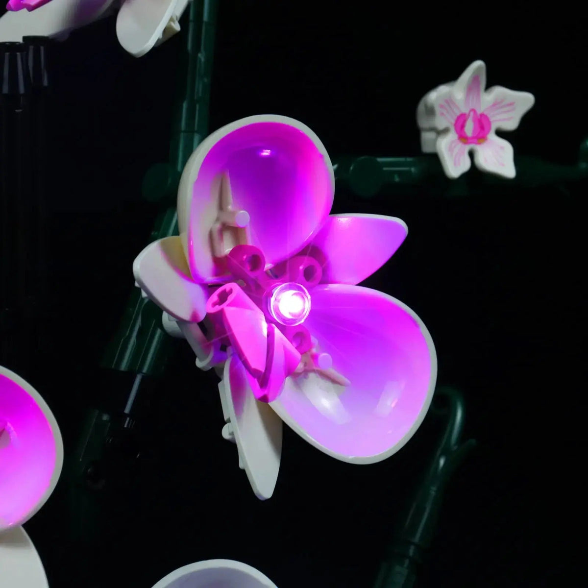 custom LED lighting for LEGO® The Botanical Collection Orchid #10311, installed and glowing