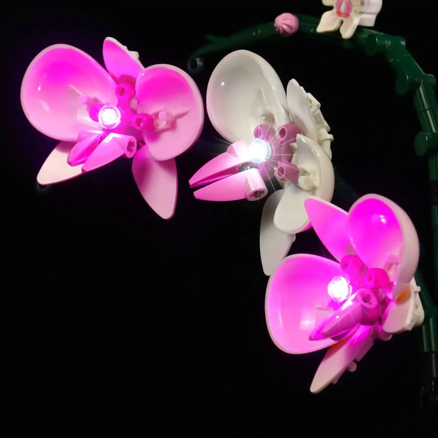 LEGO® The Botanical Collection Orchid #10311 display lighting in a dark room, with the custom LED lighting